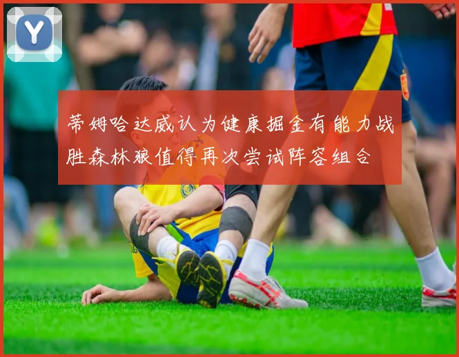 蒂姆哈达威认为健康掘金有能力战胜森林狼值得再次尝试阵容组合